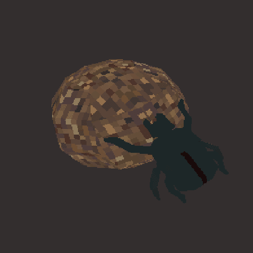 Dung Beetle